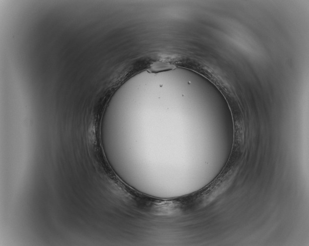 X0000116810269200912241227