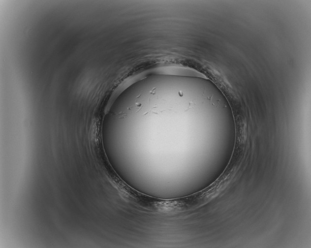 X0000116810273200912241227