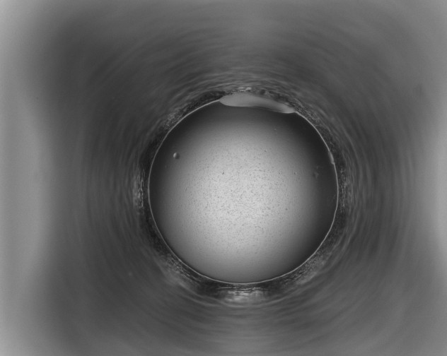 X0000116810274200912241227