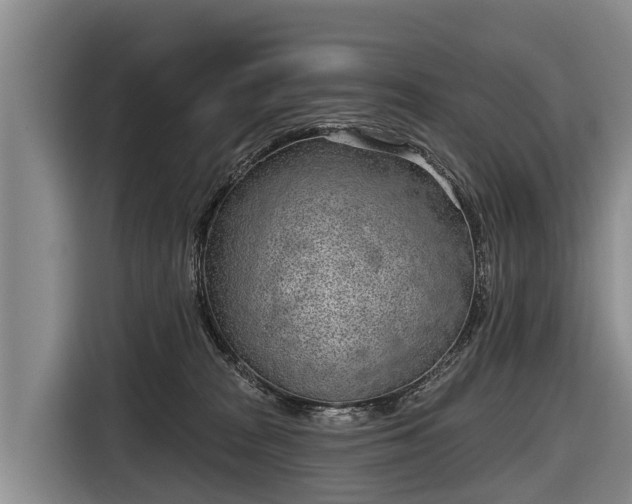 X0000116810277200912241227