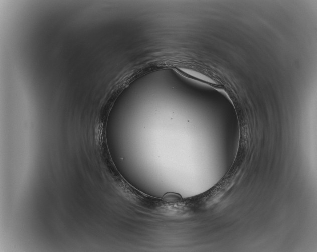 X0000116810278200912241227