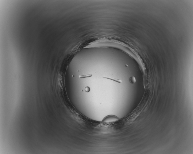 X0000116810280200912241227