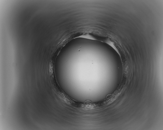 X0000116810282200912241227