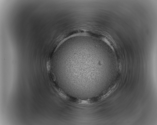 X0000116810285200912241227