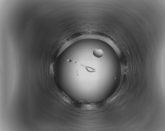 X0000116810286200912241227