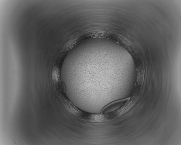 X0000116810287200912241227