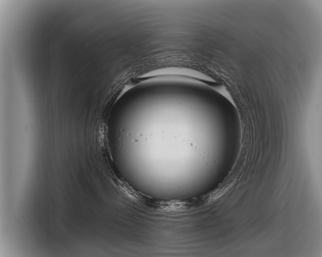 X0000116810288200912241227