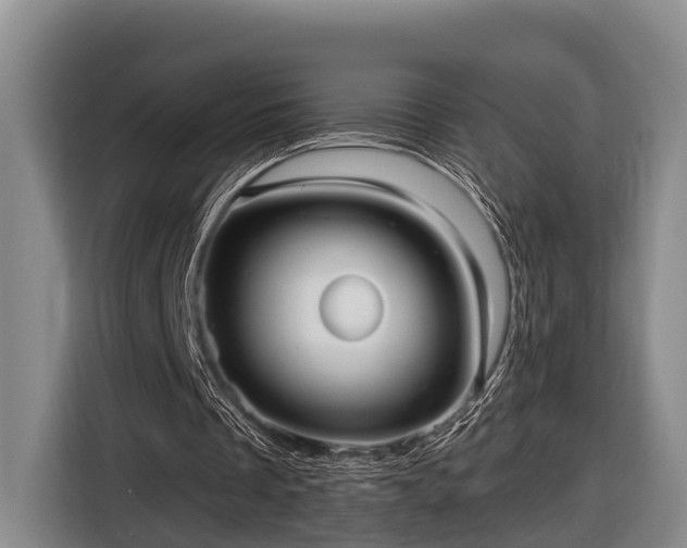 X0000116810289200912241226