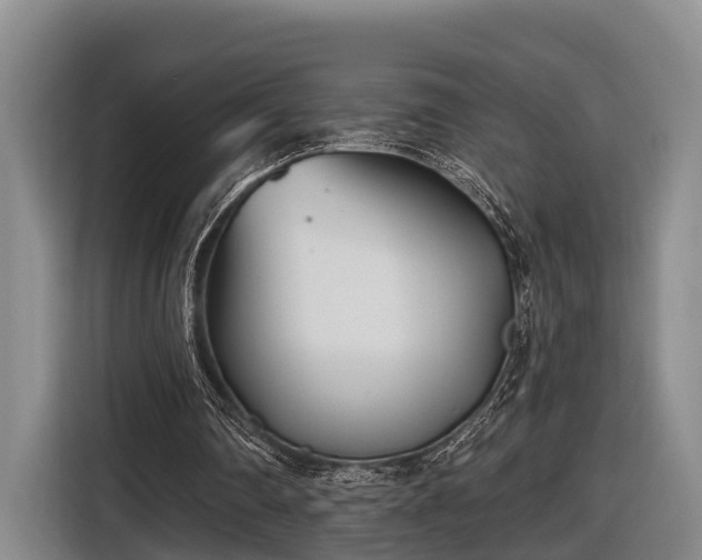 X0000116810290200912241226