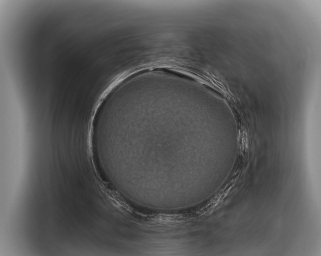 X0000116810292200912241226