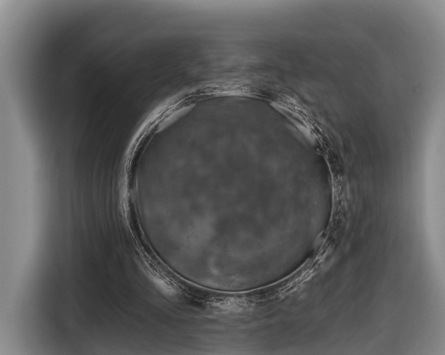 X0000116810293200912241226