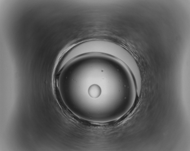 X0000116810294200912241226