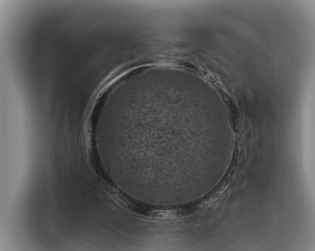 X0000116810295200912241226