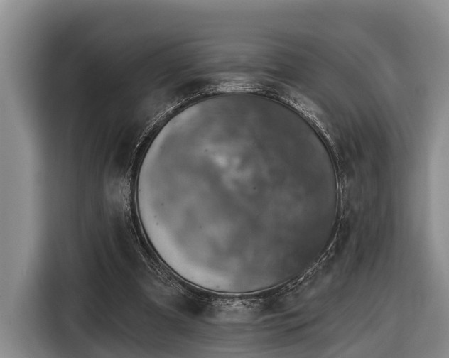 X0000116810297200912241226