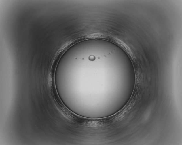 X0000116810298200912241226