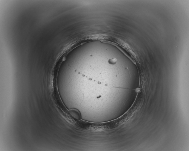 X0000116810299200912241226