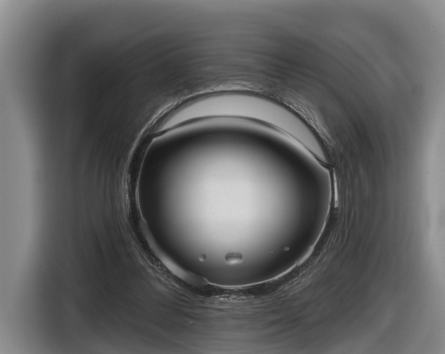 X0000116810300200912241226