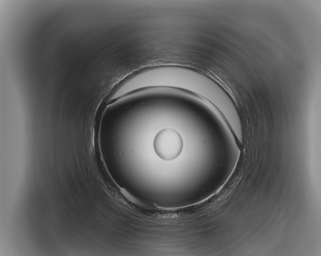 X0000116810301200912241226