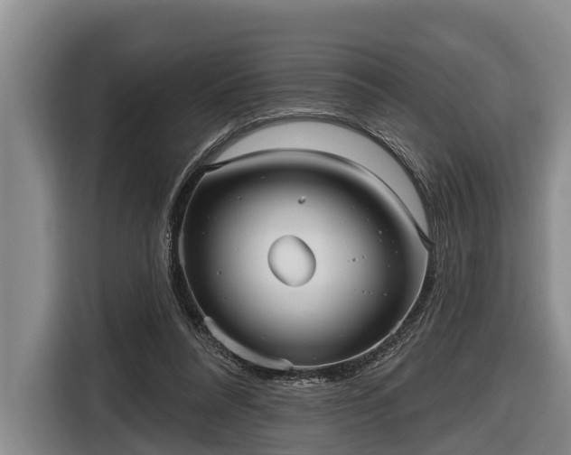 X0000116810304200912241226