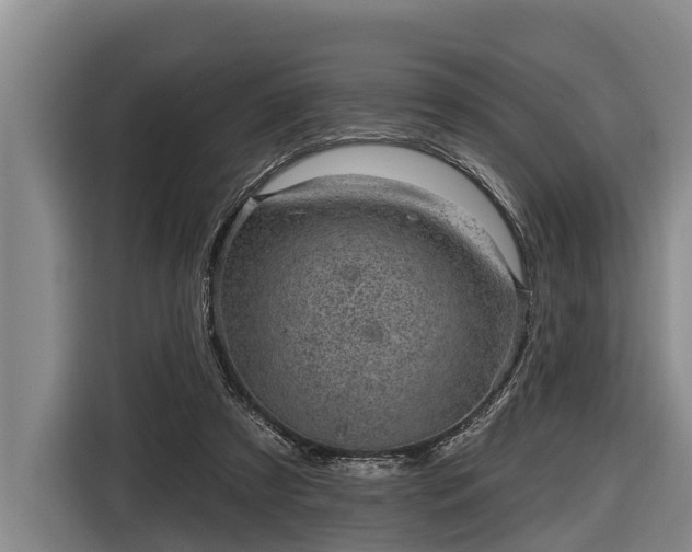 X0000116810305200912241226