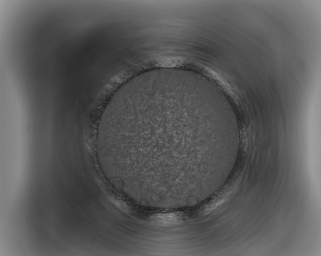 X0000116810307200912241226