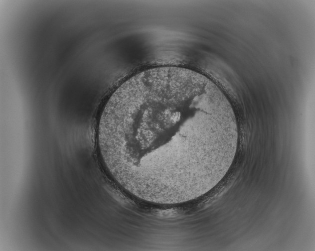 X0000116810309200912241226