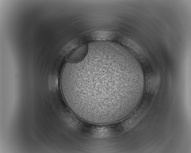 X0000116810310200912241226