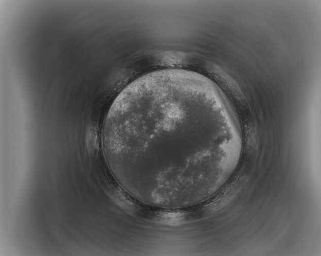 X0000116810313200912241226