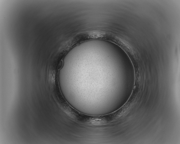 X0000116810315200912241226