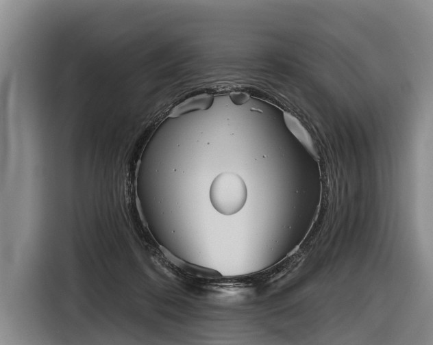 X0000116810316200912241226