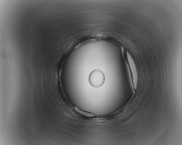 X0000116810320200912241226