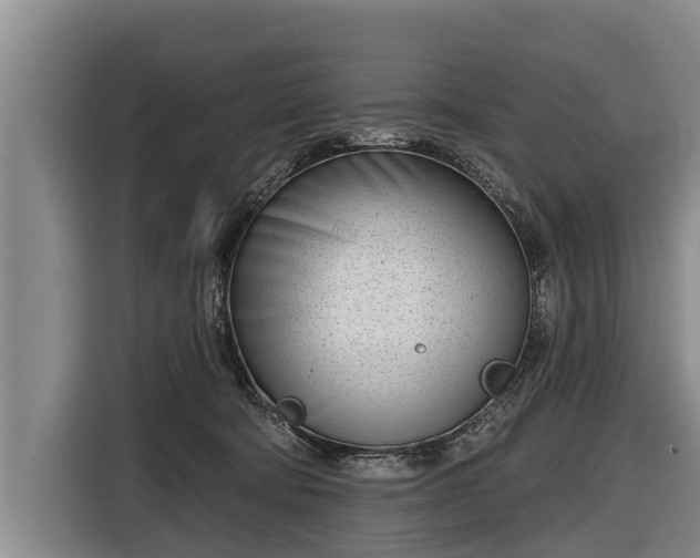 X0000116810322200912241226