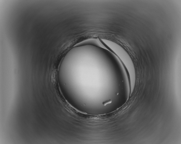 X0000116810325200912241226