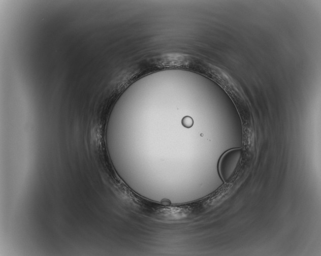 X0000116810326200912241226