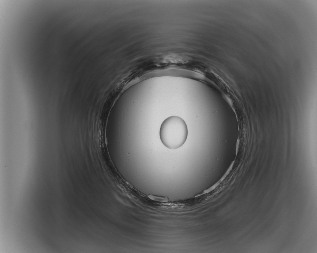 X0000116810328200912241226