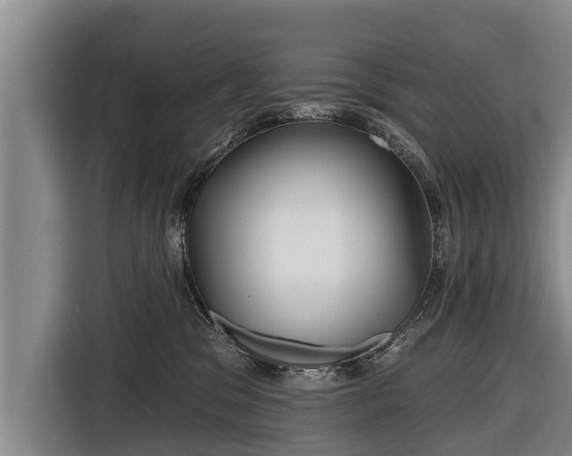 X0000116810329200912241226