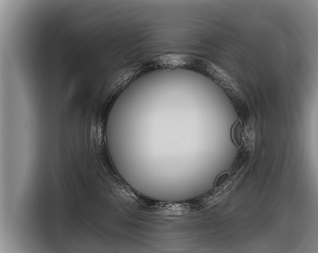 X0000116810330200912241226