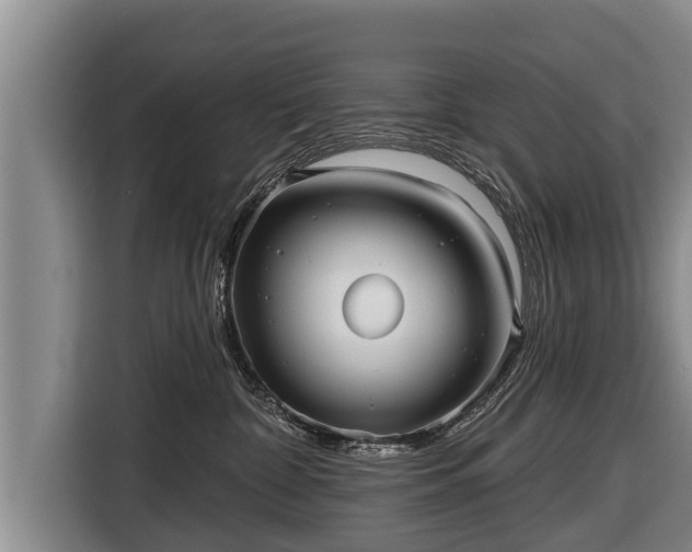 X0000116810332200912241226