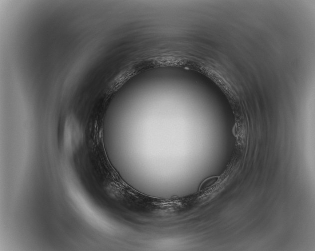 X0000116810334200912241226