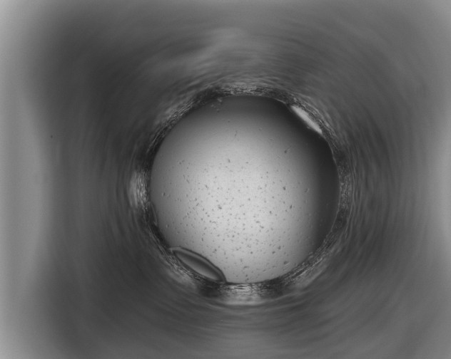 X0000116810335200912241226