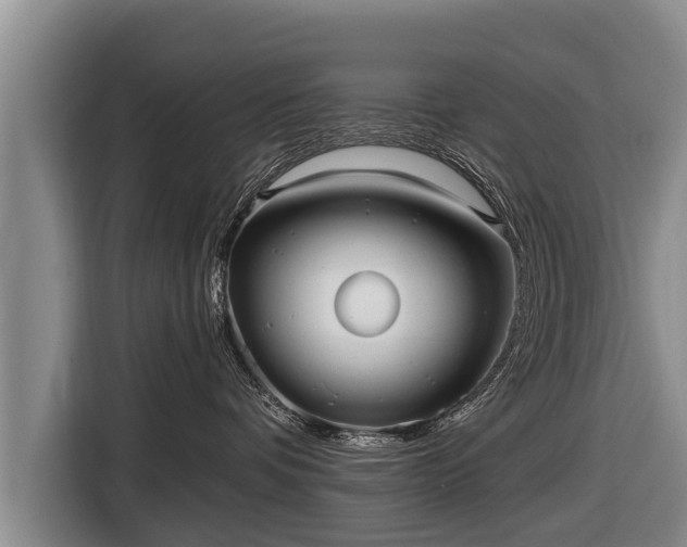 X0000116810336200912241226