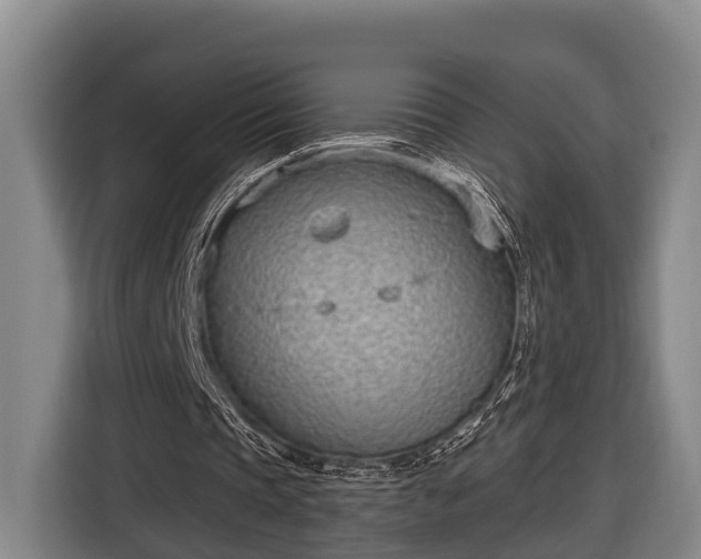 X0000116810337200912241225