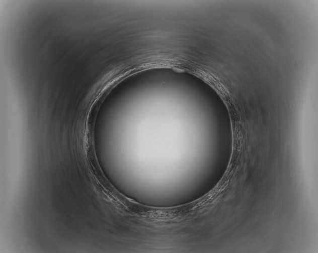 X0000116810338200912241225