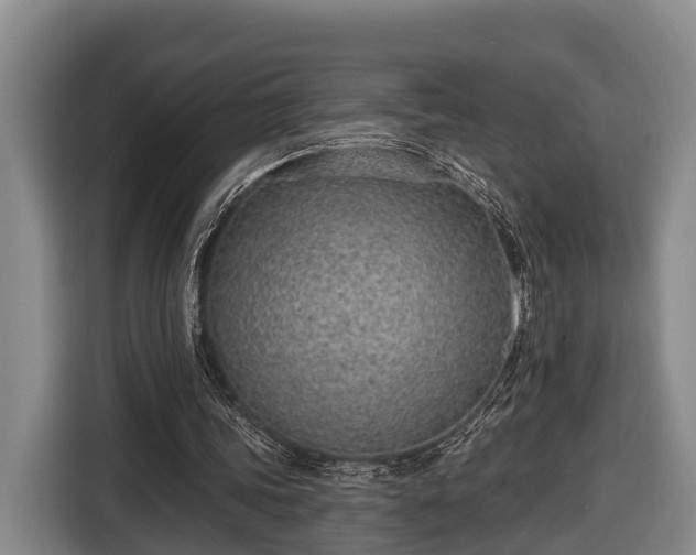 X0000116810339200912241225