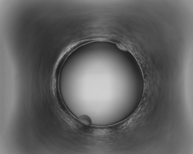 X0000116810342200912241225