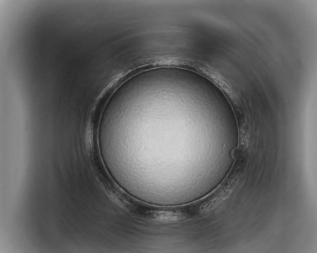 X0000116810347200912241225