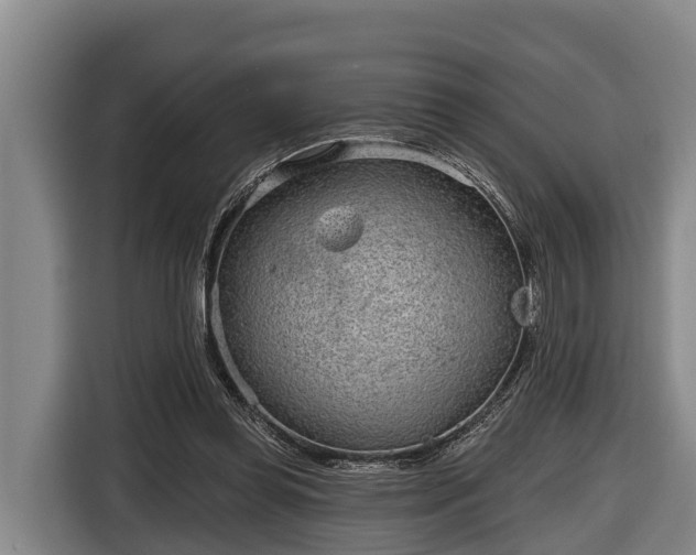 X0000116810349200912241225