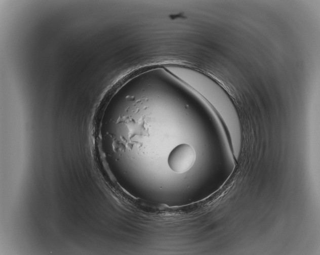 X0000116810350200912241225