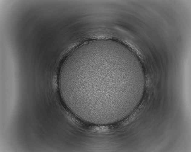 X0000116810353200912241225