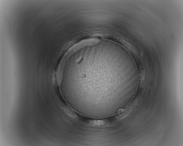 X0000116810361200912241225